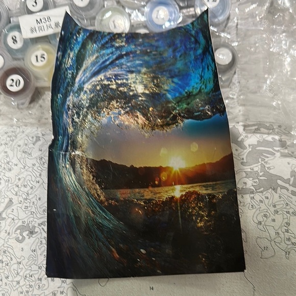 Other - 2 paint by number canvas painting NEW